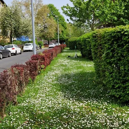 Апартаменты Chagall - Helles Und Gemuetliches In Uninaehe Майнц