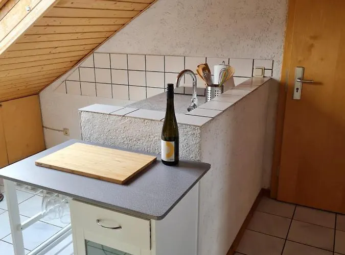 Apartment Chagall - Helles Und Gemuetliches In Uninaehe *