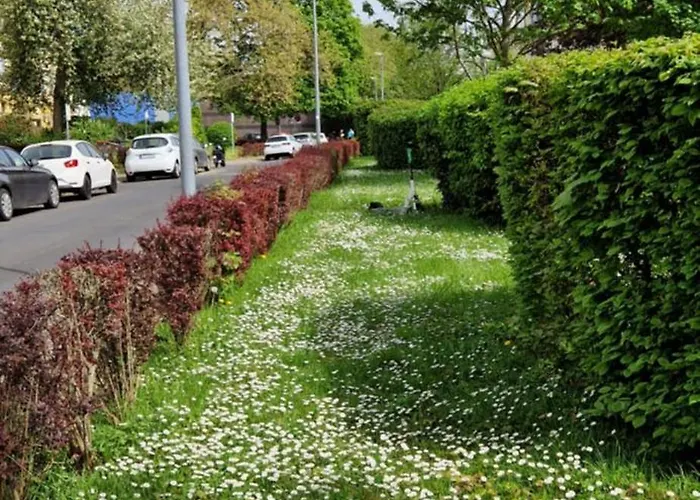 Apartment Chagall - Helles Und Gemuetliches In Uninaehe Mainz