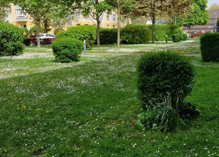 Chagall - Helles Und Gemuetliches In Uninaehe Апартаменты *